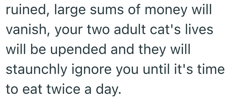 ruined, large sums of money will vanish, your two adult cat's lives. will be upended and they will staunchly ignore you until it's time to eat twice a day.