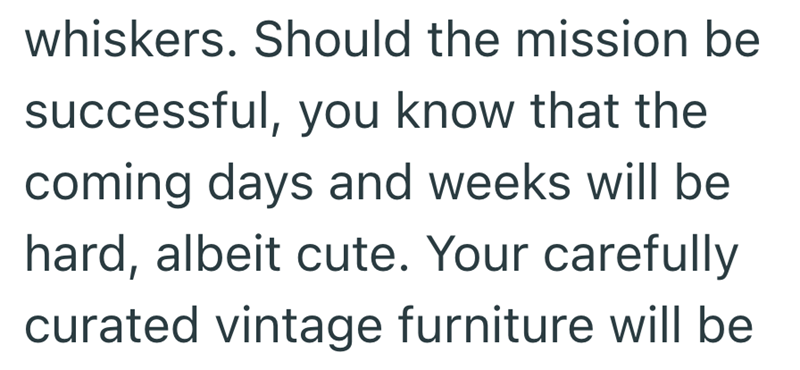 whiskers. Should the mission be successful, you know that the coming days and weeks will be hard, albeit cute. Your carefully curated vintage furniture will be