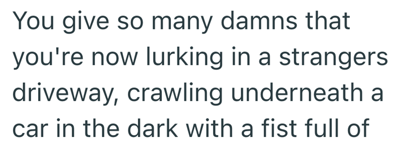 You give so many damns that you're now lurking in a strangers driveway, crawling underneath a car in the dark with a fist full of