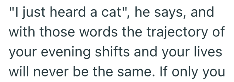 "I just heard a cat", he says, and with those words the trajectory of your evening shifts and your lives will never be the same. If only you
