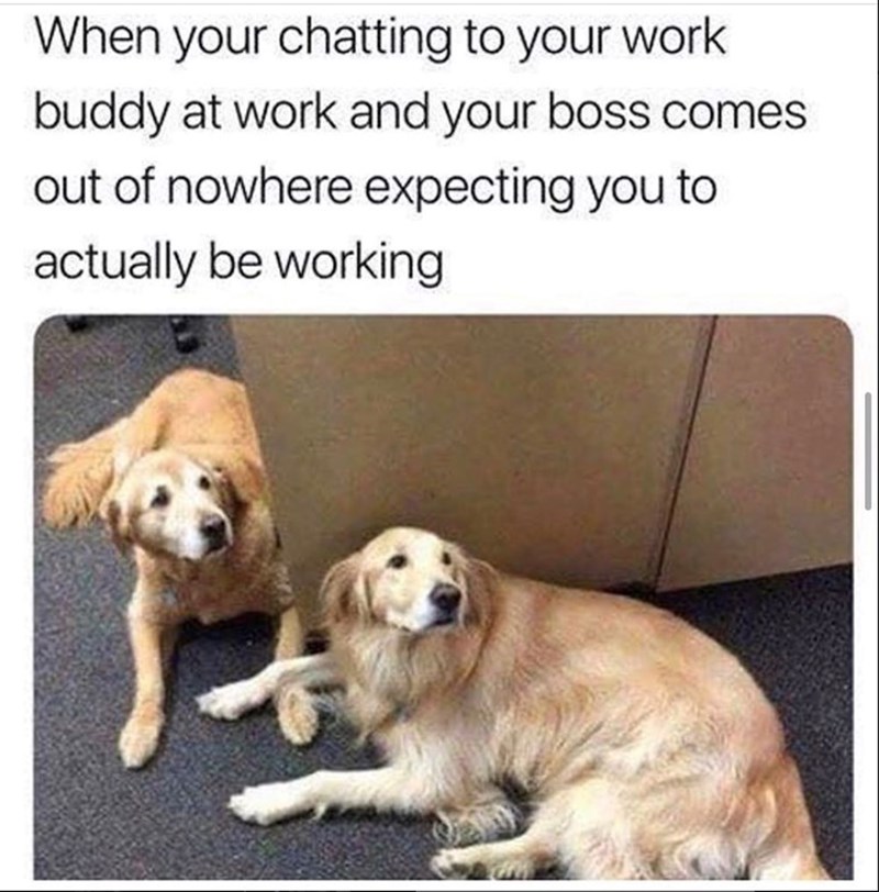 When your chatting to your work buddy at work and your boss comes out of nowhere expecting you to actually be working