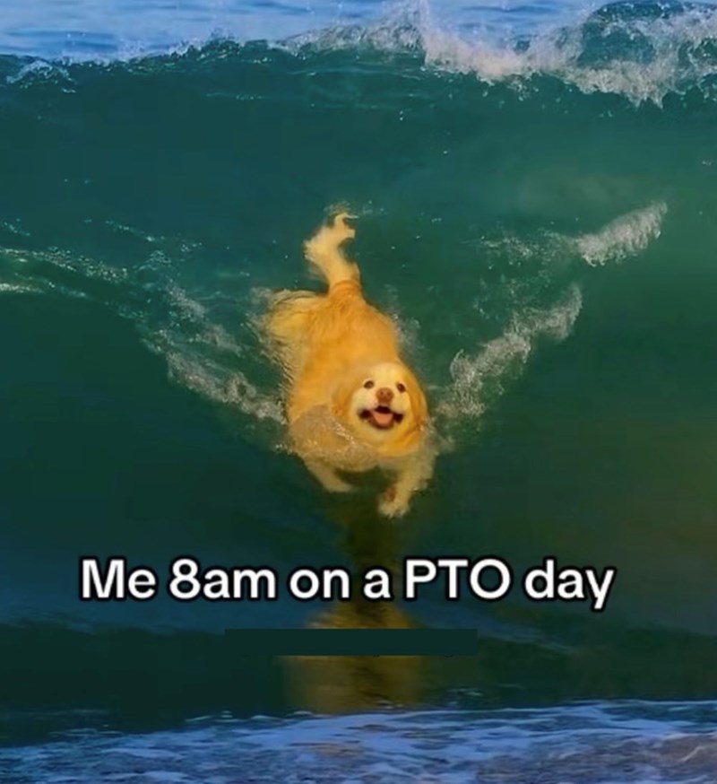 Me 8am on a PTO day