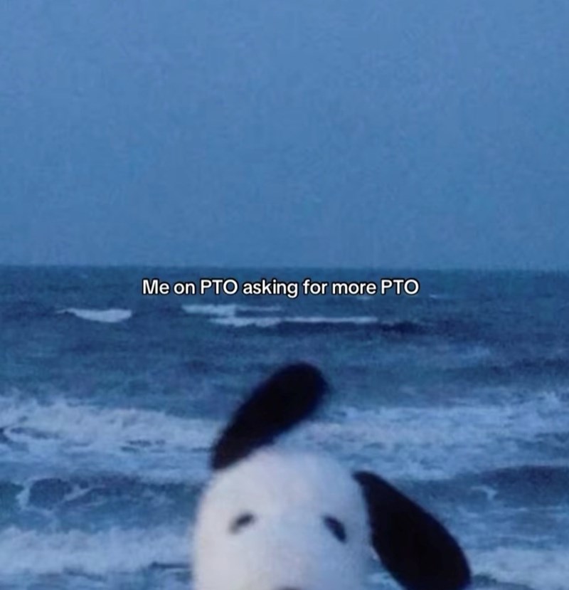 Me on PTO asking for more PTO