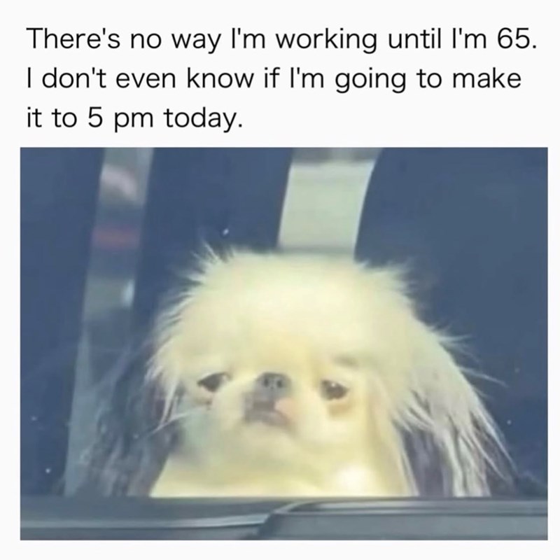 There's no way I'm working until I'm 65. I don't even know if I'm going to make it to 5 pm today.