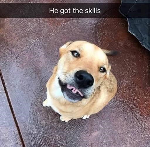 He got the skills
