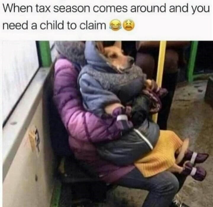 When tax season comes around and you need a child to claim