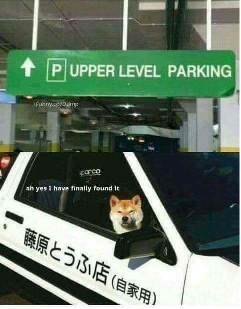 PUPPER LEVEL PARKING ifunny.co/Dump sparco ah yes I have finally found it 藤原とうふ店 (自家用)
