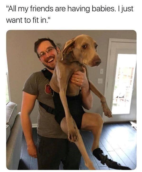 "All my friends are having babies. I just want to fit in."