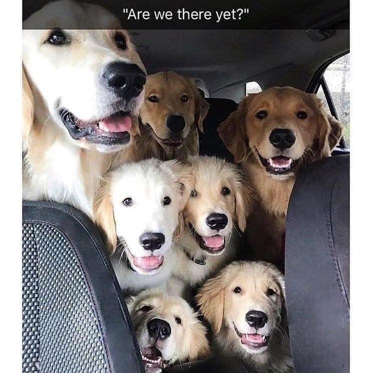 "Are we there yet?"