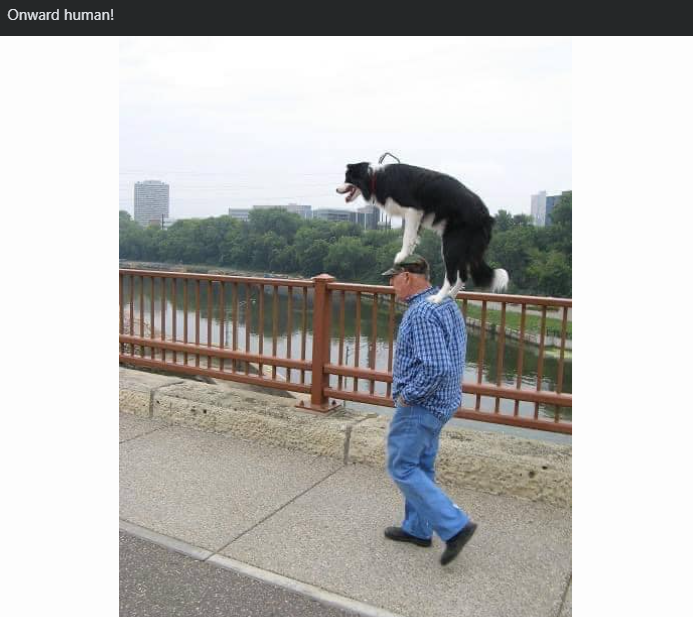 Onward human!
