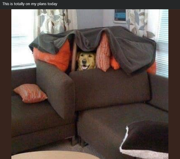 This is totally on my plans today
