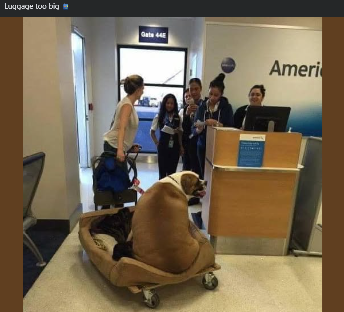 Luggage too big Gate 44E Ameri