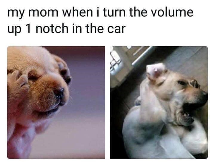 my mom when i turn the volume up 1 notch in the car