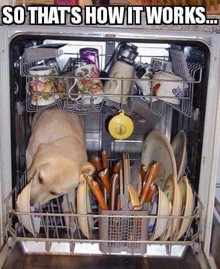 SO THAT'S HOW IT WORKS....