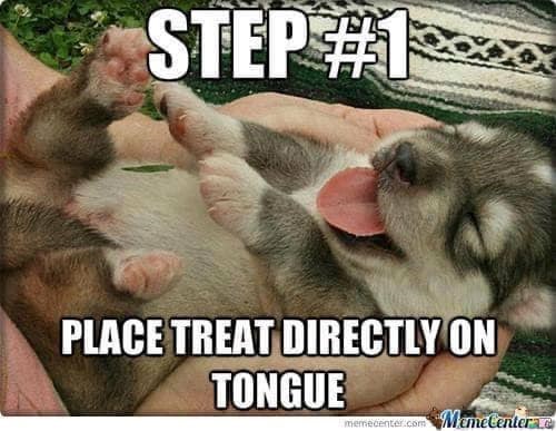 STEP #1 PLACE TREAT DIRECTLY ON TONGUE memecenter.com MemeCenter.c