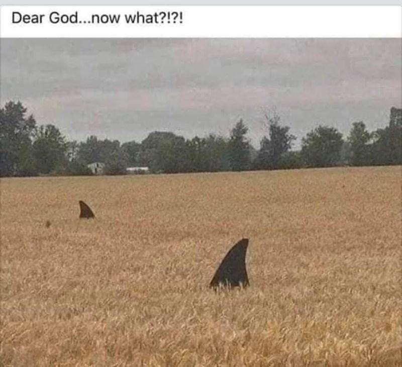 Dear God...now what?!?!
