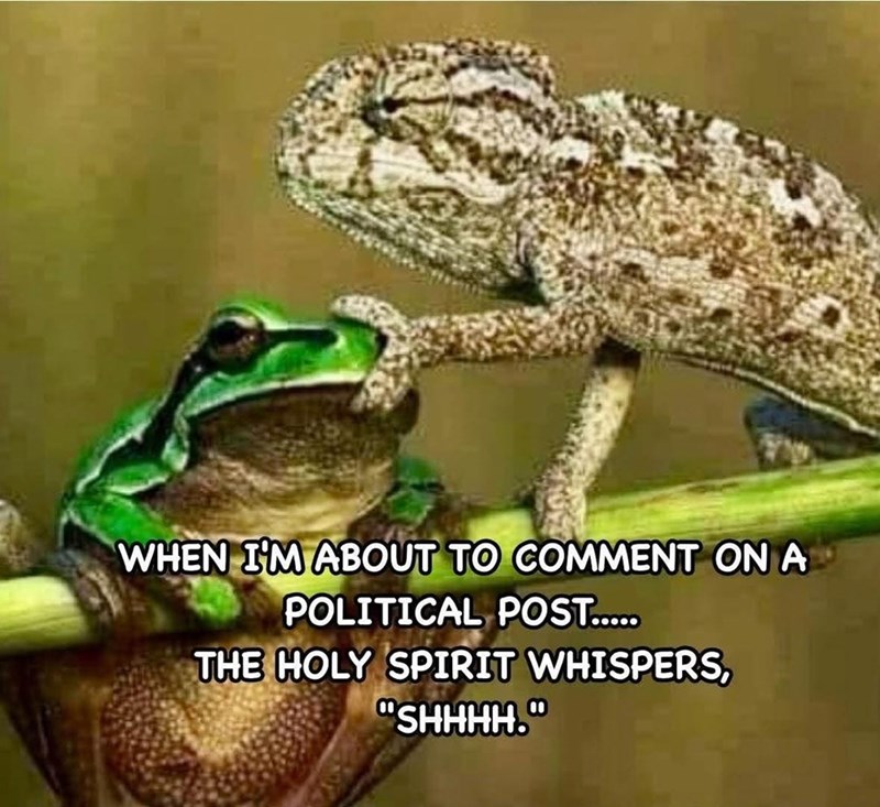 WHEN I'M ABOUT TO COMMENT ON A POLITICAL POST..... THE HOLY SPIRIT WHISPERS, "SHHHH."