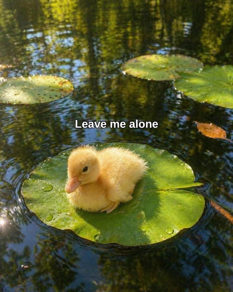 Leave me alone