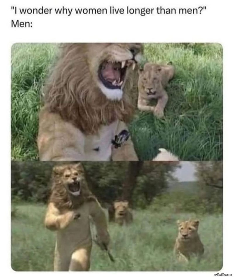 "I wonder why women live longer than men?" Men: evilmilk.com