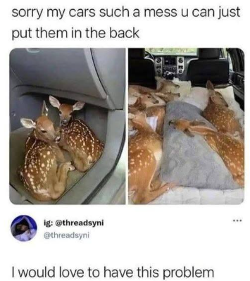 sorry my cars such a mess u can just put them in the back ig: @threadsyni @threadsyni I would love to have this problem