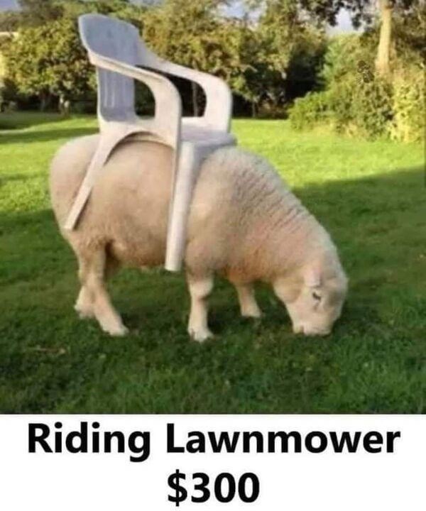 Riding Lawnmower $300