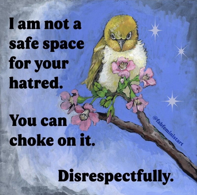 I am not a safe space for your hatred. You can choke on it. @fabfeministart Disrespectfully.