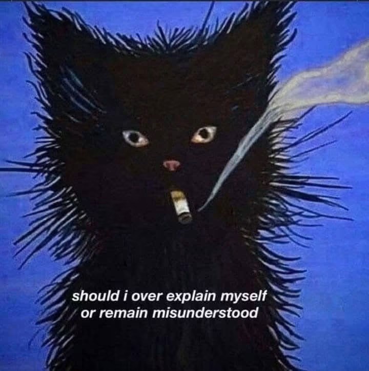 should i over explain myself or remain misunderstood
