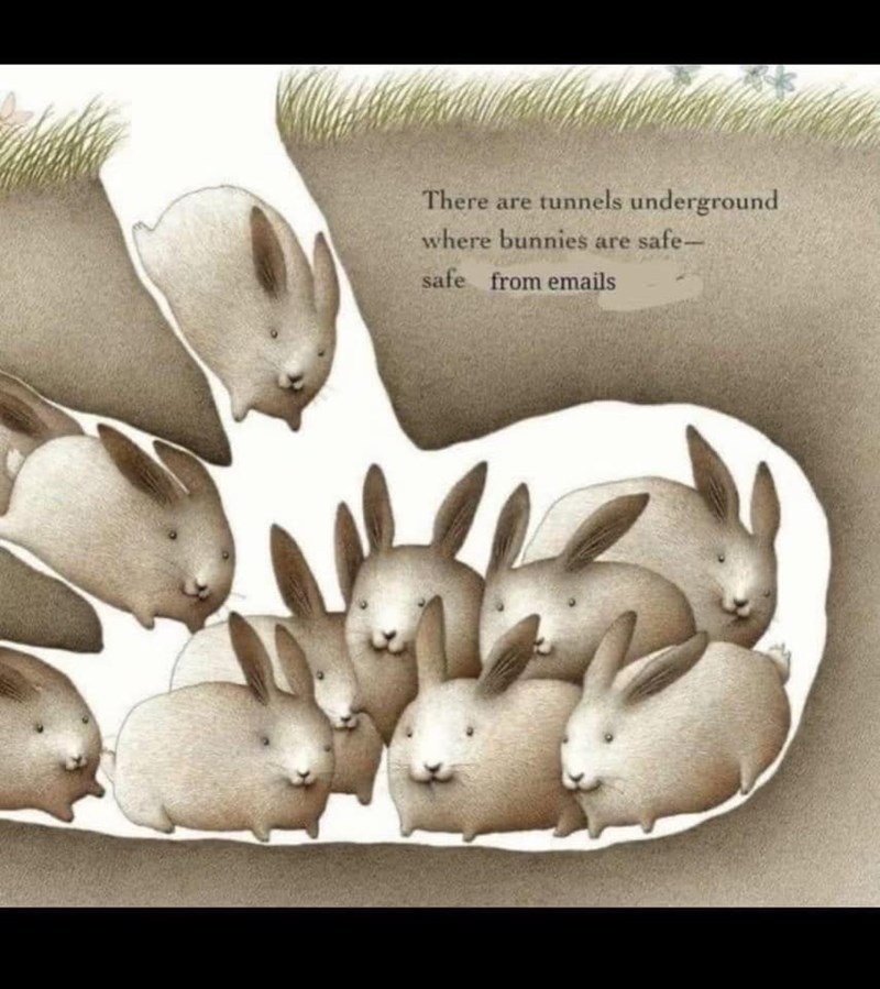 There are tunnels underground where bunnies are safe- safe from emails
