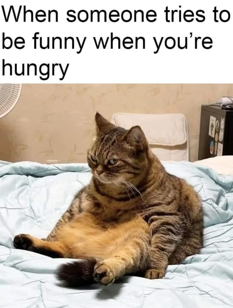 When someone tries to be funny when you're hungry