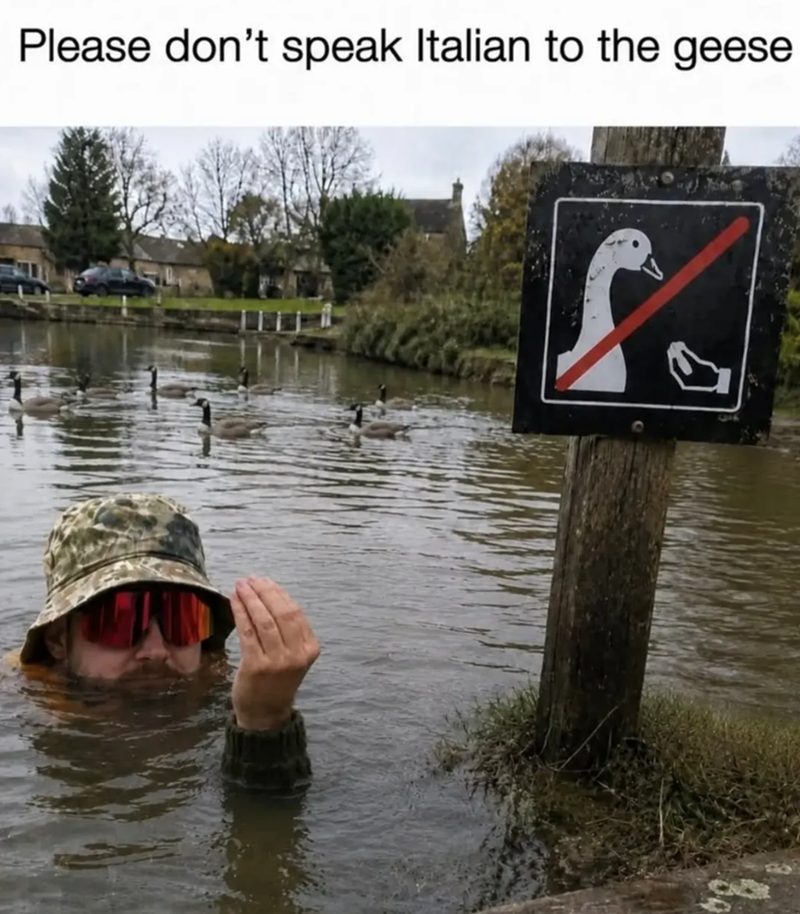Please don't speak Italian to the geese 133