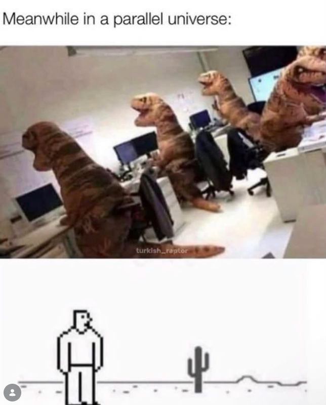 Meanwhile in a parallel universe: : turkish raptor