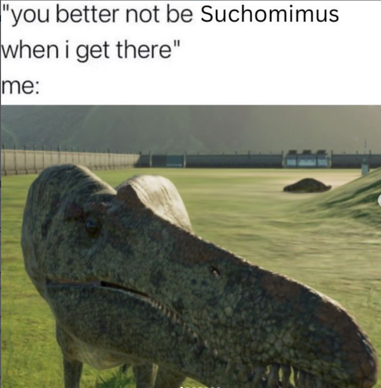 "you better not be Suchomimus when i get there" me: