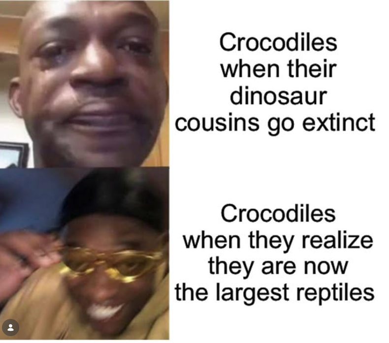 Crocodiles when their dinosaur cousins go extinct Crocodiles when they realize they are now the largest reptiles