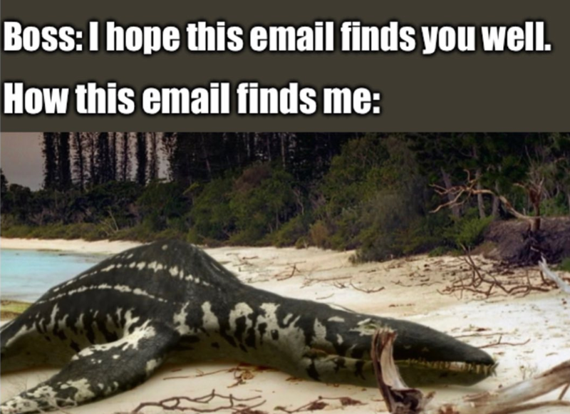Boss: I hope this email finds you well. How this email finds me: