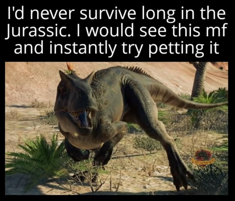 I'd never survive long in the Jurassic. I would see this mf and instantly try petting it