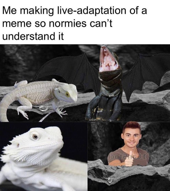 Me making live-adaptation of a meme so normies can't understand it bot216) (
