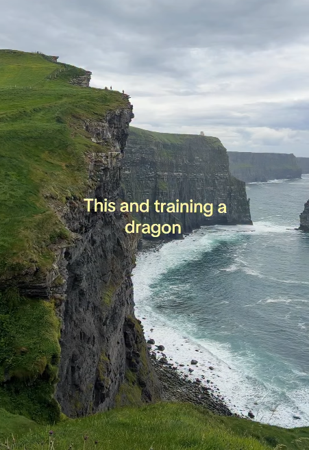 This and training a dragon