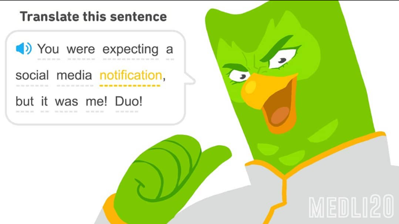 Translate this sentence You were expecting a social media notification, but it was me! Duo! MEDLI20