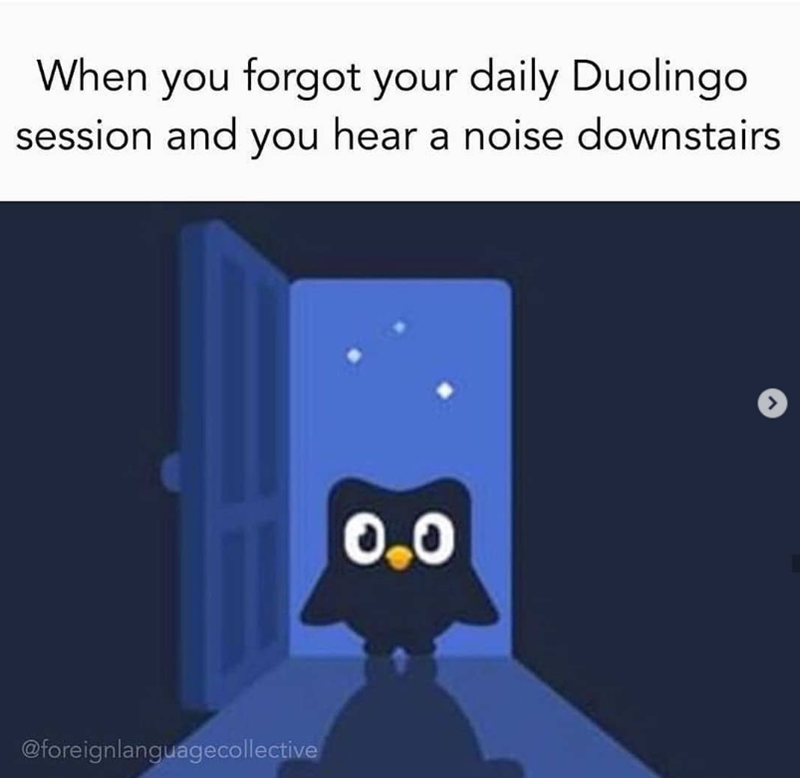 When you forgot your daily Duolingo session and you hear a noise downstairs @foreignlanguagecollective 0.0