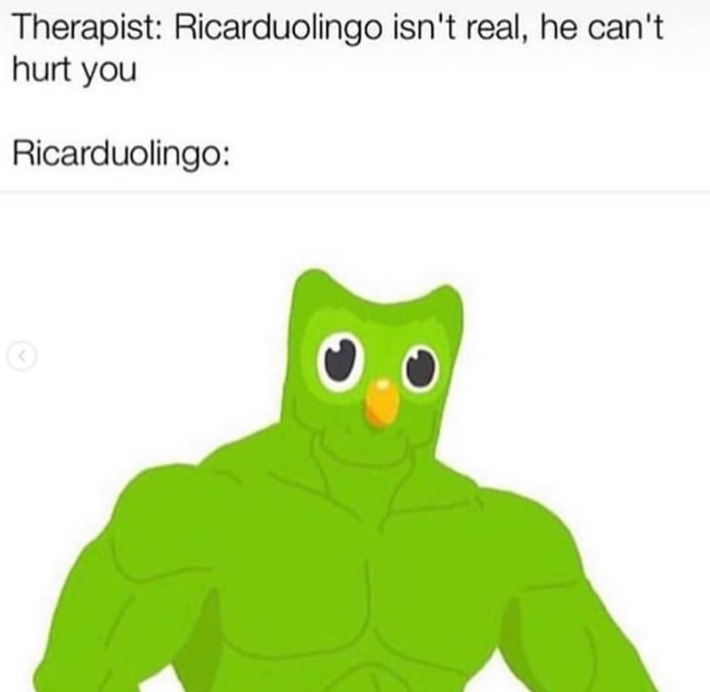 Therapist: Ricarduolingo isn't real, he can't. hurt you Ricarduolingo: ©