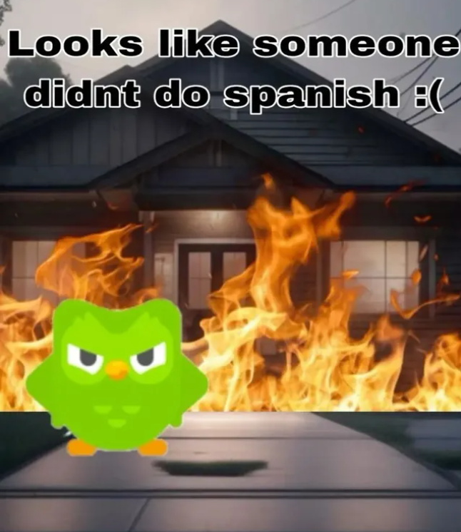 Looks like someone didnt do spanish :(
