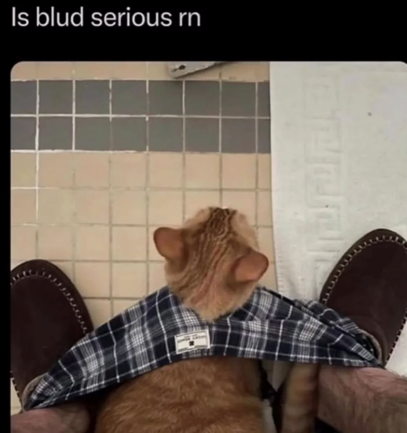Is blud serious rn 1333