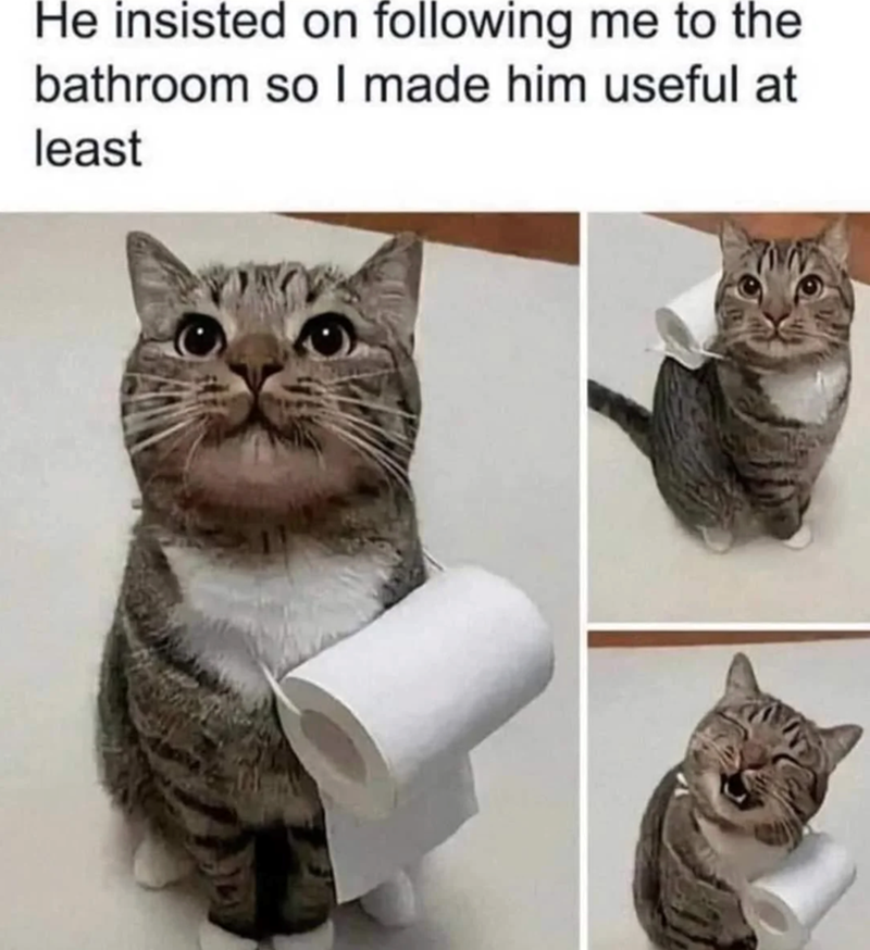 He insisted on following me to the bathroom so I made him useful at least