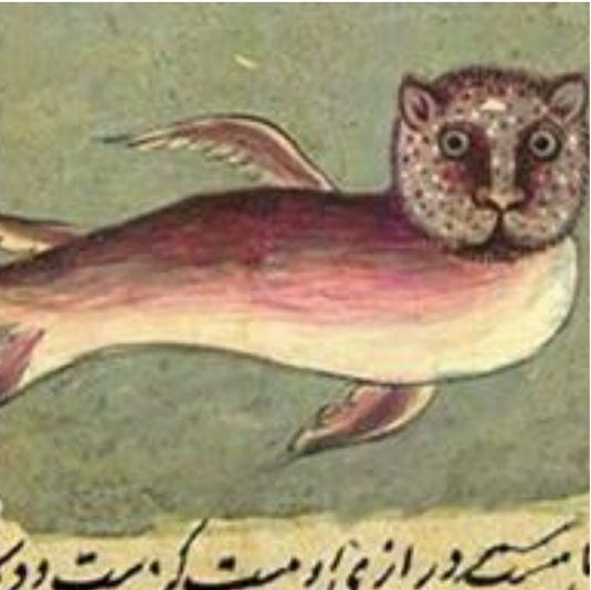 پور از میاد مست که دست دوسی