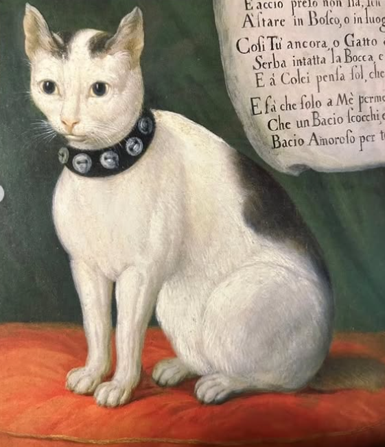 E accio prelo ha, Aftare in Bofco, o in luog Cofi Tu ancora o Gatto Serba intatta la Bocca e E a Colci penfà fol, che Efa che folo a Mè perme Che un Bacio fcocchie Bacio Amorofo per to