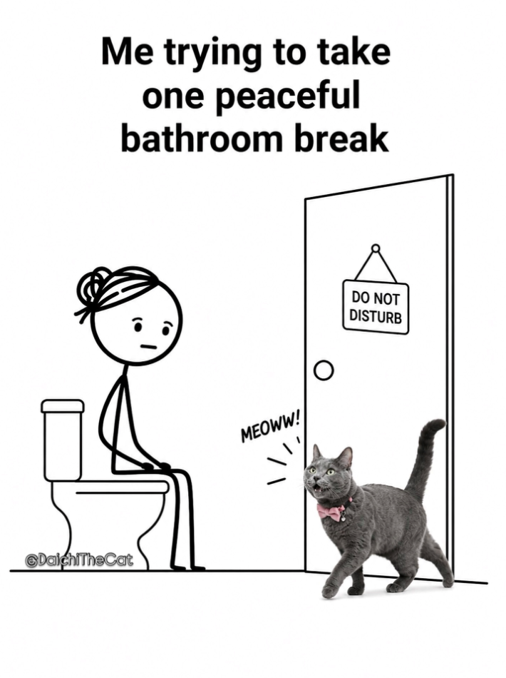 DaichiTheCat Me trying to take one peaceful bathroom break MEOWW! DO NOT DISTURB