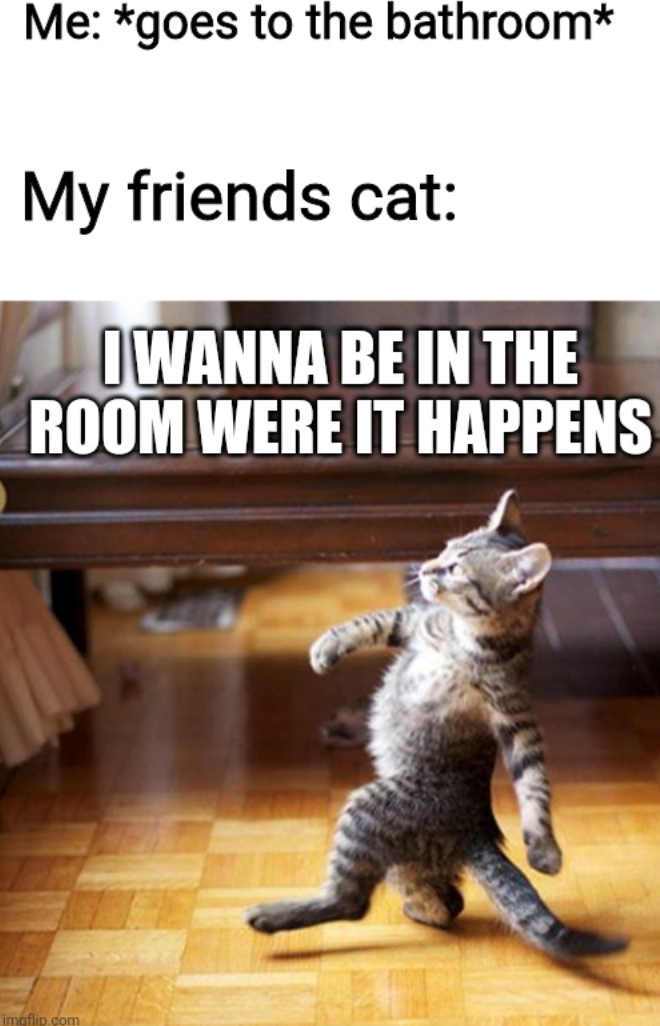Me: *goes to the bathroom* My friends cat: I WANNA BE IN THE ROOM WERE IT HAPPENS imaflip.com
