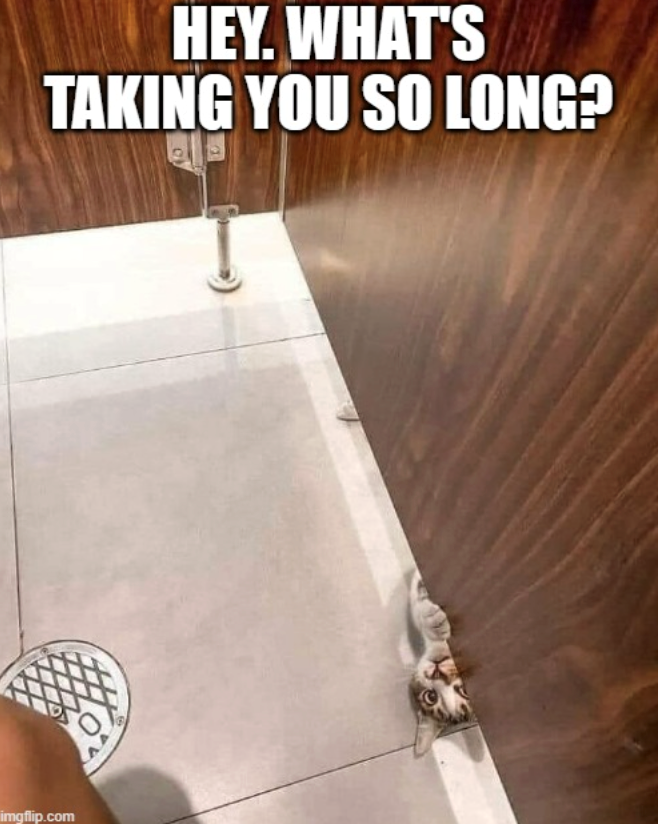 HEY. WHAT'S TAKING YOU SO LONG? imgflip.com