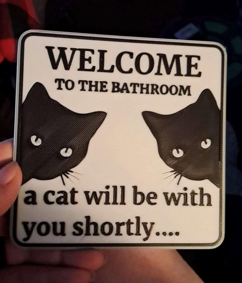 WELCOME TO THE BATHROOM a cat will be with you shortly....