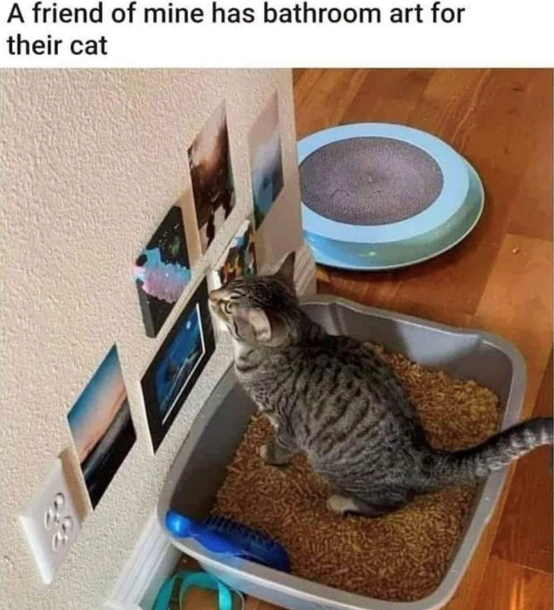 A friend of mine has bathroom art for their cat